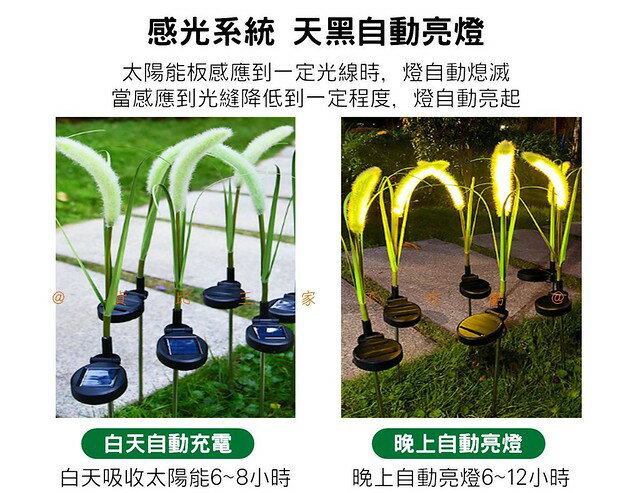 太陽能模擬狗尾草燈 庭園景觀草坪裝飾燈 花園燈 仿真花 地插燈 模擬芒草燈 太陽能燈 仙女燈 婚禮裝飾燈 美化 麥穗燈
