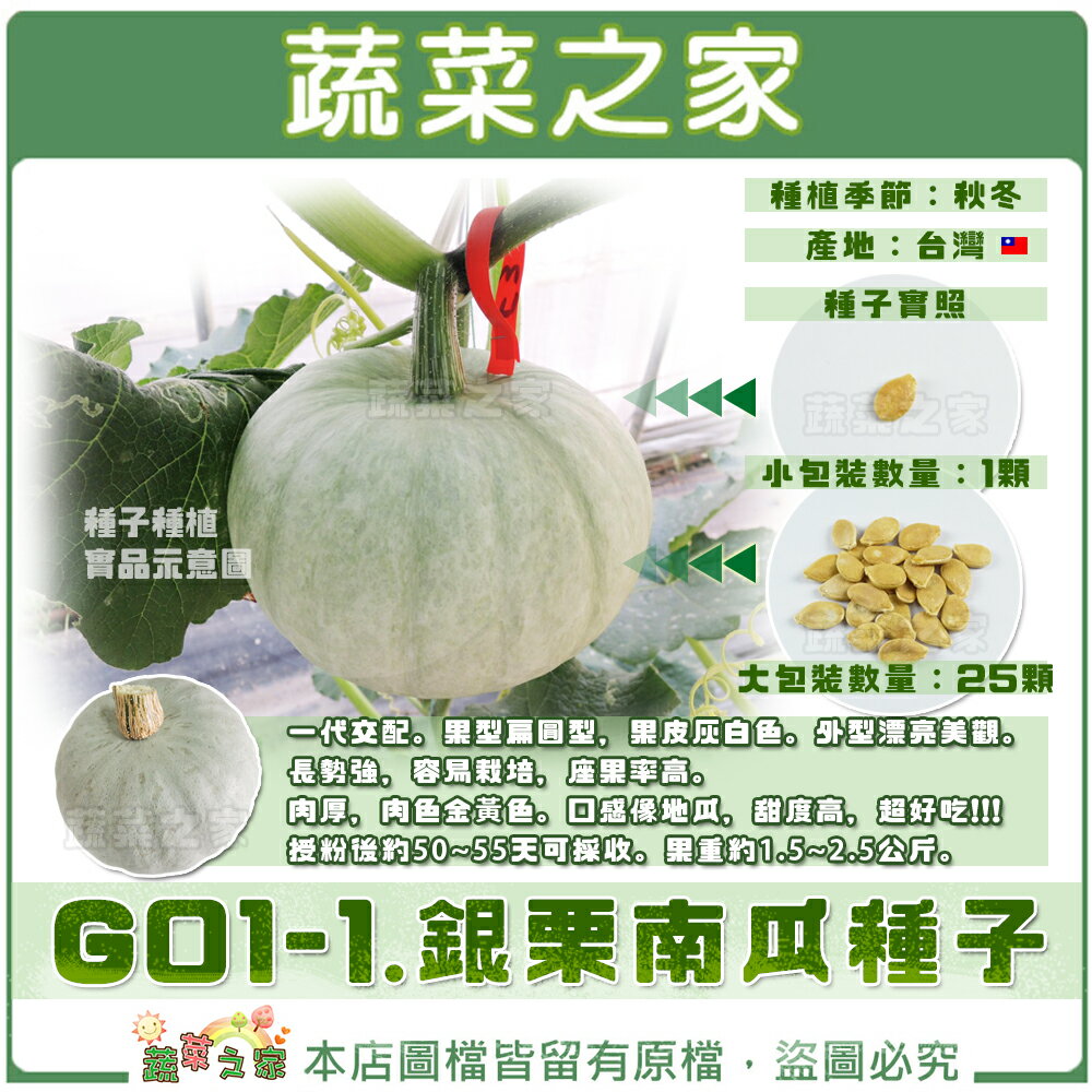 【蔬菜之家】G01-1.銀栗南瓜種子 (共兩種包裝可選)