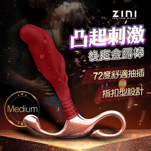 ZINI｜布萊克｜前列腺後庭金屬棒/中