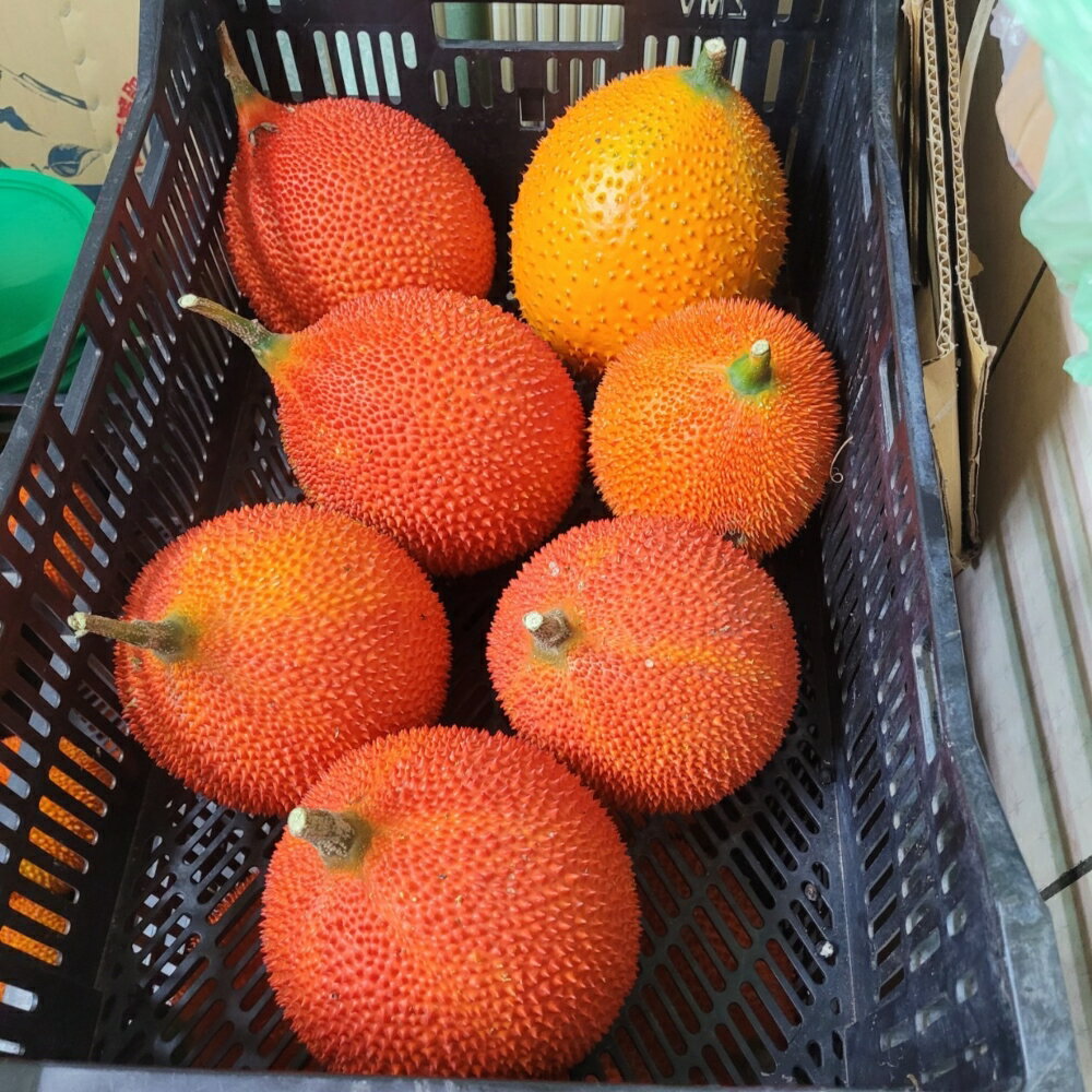 嘉義竹崎興爺爺木鱉果(6斤裝-超商區) 4