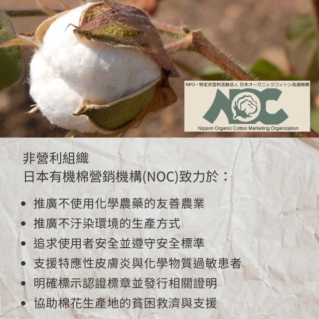 【日本SIGN-側邊條紋有機棉帽】 化療帽 術後帽子 醫療用帽 日本原裝│愛德蘭絲官方旗艦店 5 【日本SIGN-側邊條紋有機棉帽】 化療帽 術後帽子 醫療用帽 日本原裝│愛德蘭絲官方旗艦店 5