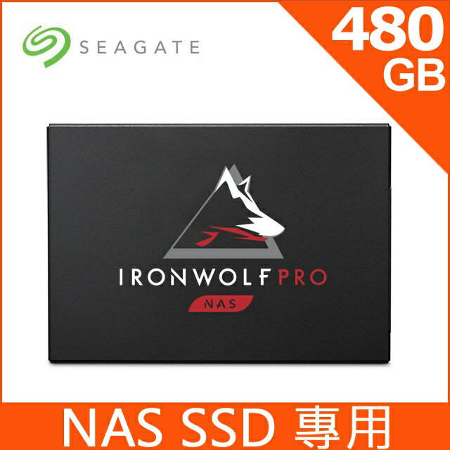 【公司貨】Seagate希捷 IronWolf Pro 125 480G NAS專用SSD 裸 ZA480NX1A001