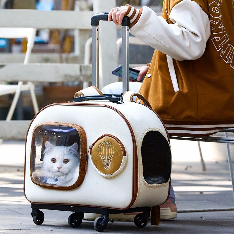 貓包 外出便攜大容量寵物拉桿箱 狗狗貓咪行李箱 小型犬雙肩帆布背包 交換禮物全館免運