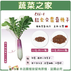 【蔬菜之家】C16-1.紅金交蘿蔔種子(共有2種包裝可選)