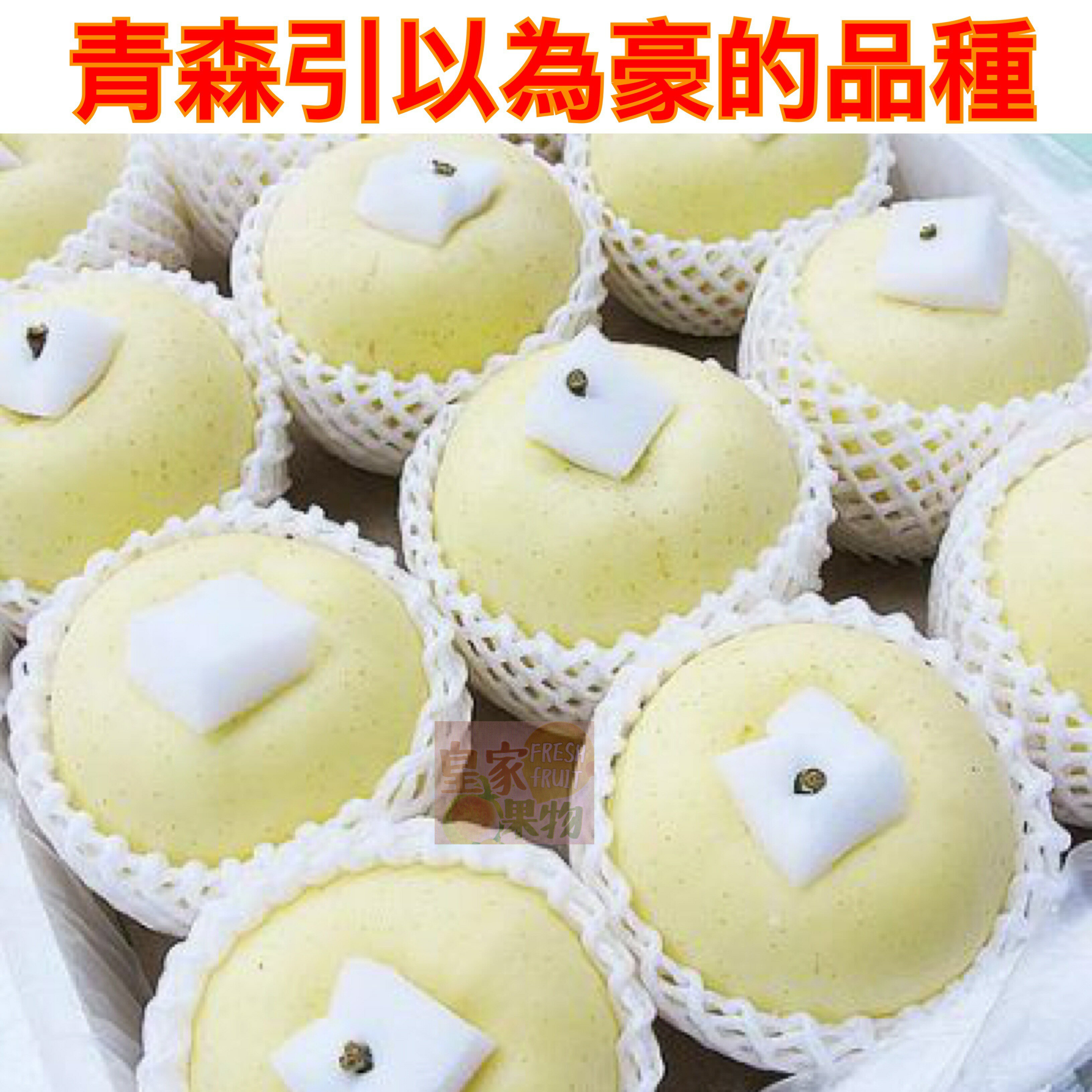 皇家禮盒青森和風蘋果禮盒(26入分裝)6入/8入/12入(日本青森金星蘋果+青森巧克力蘋果)精緻禮盒附提袋【皇家果物】 3