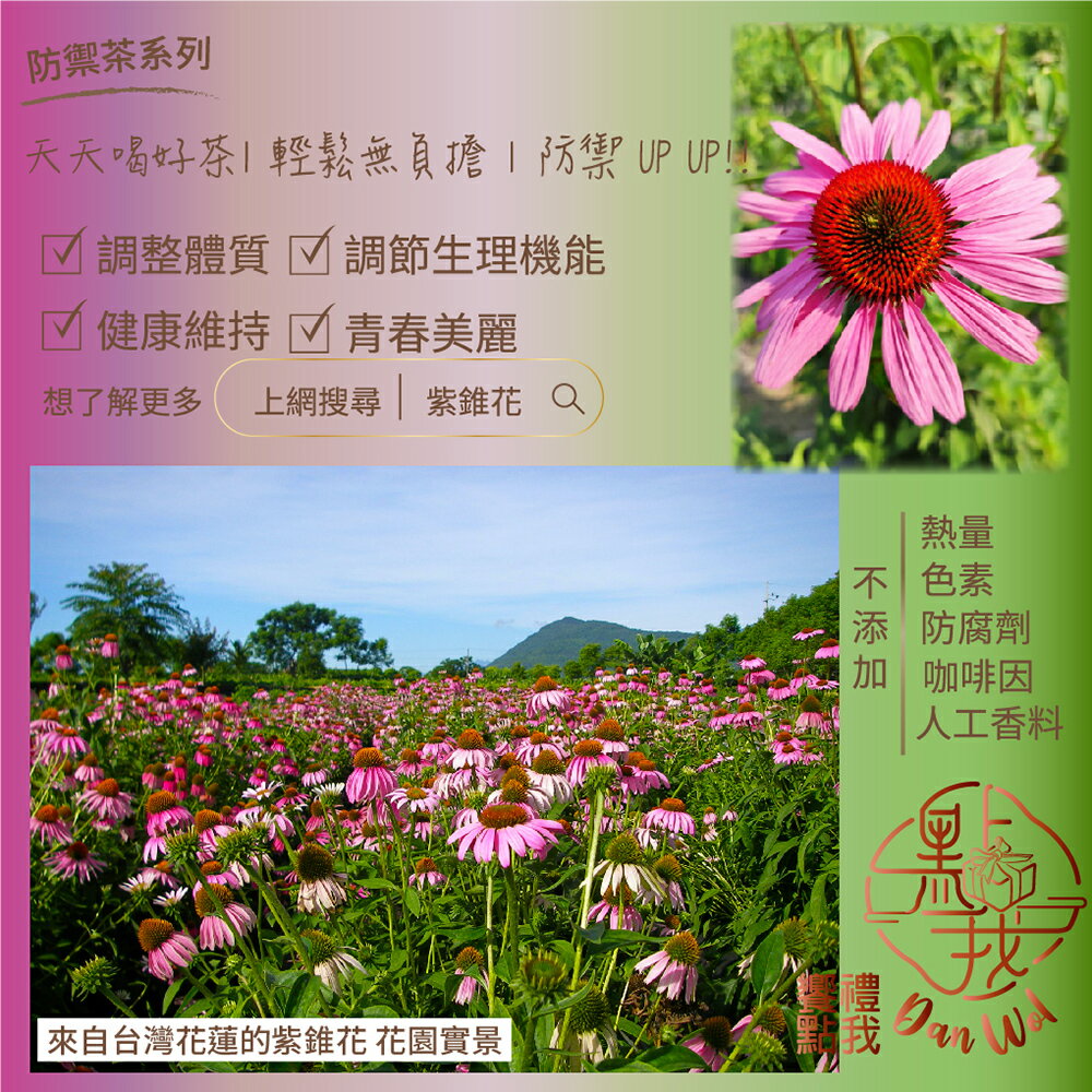 (6盒特惠) 饗禮點我 紫錐花美顏茶/養生茶 120入  無咖啡因 獨立茶包 婚宴小禮 5