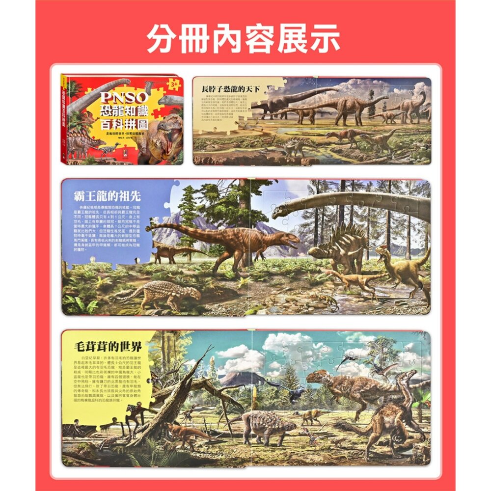 媽媽買 PNSO百科拼圖 風車圖書 恐龍拼圖書 翼龍拼圖 PNSO恐龍 恐龍百科拼圖 翼龍知識拼圖 恐龍益智拼圖書 兒童恐龍拼圖 7