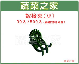 【蔬菜之家009-C12-GR1/009-C12-GR2】嫁接夾(蘭花夾.固定夾)-(小)30入/組、500入/組 綠色