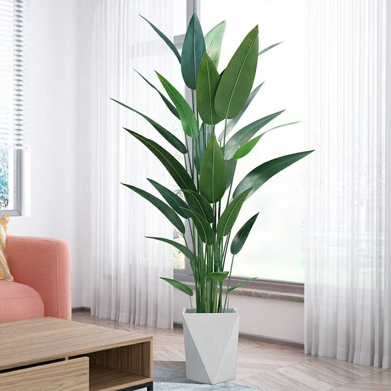 仿真植物美人蕉北歐風綠植大型盆栽擺件客廳室內落地裝飾假樹造景