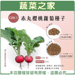 【蔬菜之家】C26-1.赤丸櫻桃蘿蔔種子(共兩種包裝可選)