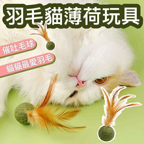 『台灣x現貨秒出』羽毛貓薄荷球球 貓咪玩具 寵物玩具 貓薄荷羽毛 貓玩具 貓咪自嗨 貓薄荷球