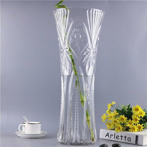 。富貴竹花瓶大口徑特大號玻璃透明高50cm插花大號客廳擺件水培落
