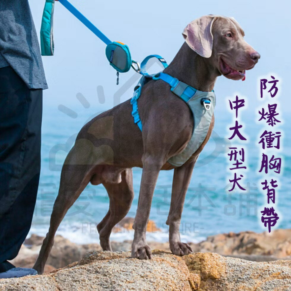 【寵愛生活本舖】中大型犬防爆衝胸背帶 寵物胸背帶 大型犬專用 背心式胸背帶