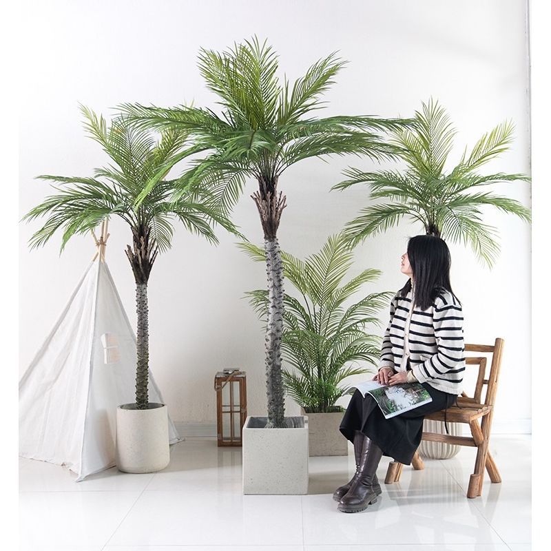 仿真椰子樹假椰樹盆栽熱帶植物室內外裝飾仿真蒲葵樹盆景設計造景