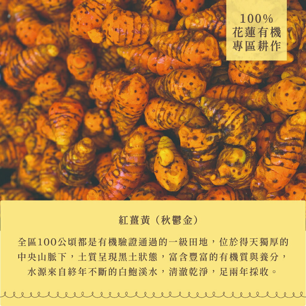 紅薑黃粉膠囊「🔺30/100粒」⎪【直送日本】 2