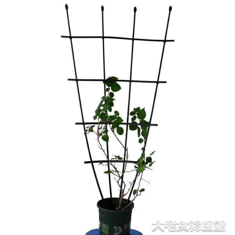 爬藤架陽臺月季花盆攀爬架扇形花架三角梅鐵線蓮園藝支架爬藤桿植物支撐 快速出貨YJT