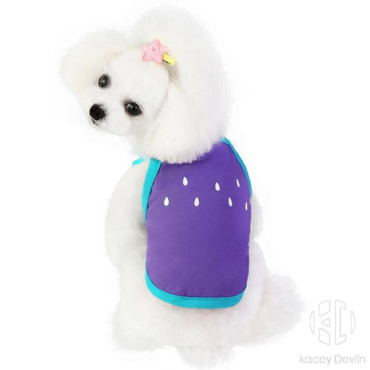 寵物胖狗狗衣服夏天薄款透氣法鬥幼犬小奶狗比熊泰迪吊帶背心夏季【聚物優品】