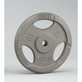 10公斤手抓孔槓片 10KG槓片 10KG槓片 10公斤鑄鐵槓片 舉重/重量訓練【Fitek健身網】