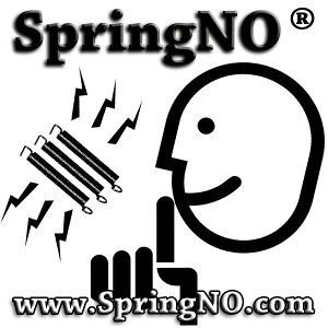 SpringNO 電吉他搖座彈簧雜音消除膠條(ESP/ Fender/ Gibson/ Jackson 等都可以使用)【唐尼樂器】
