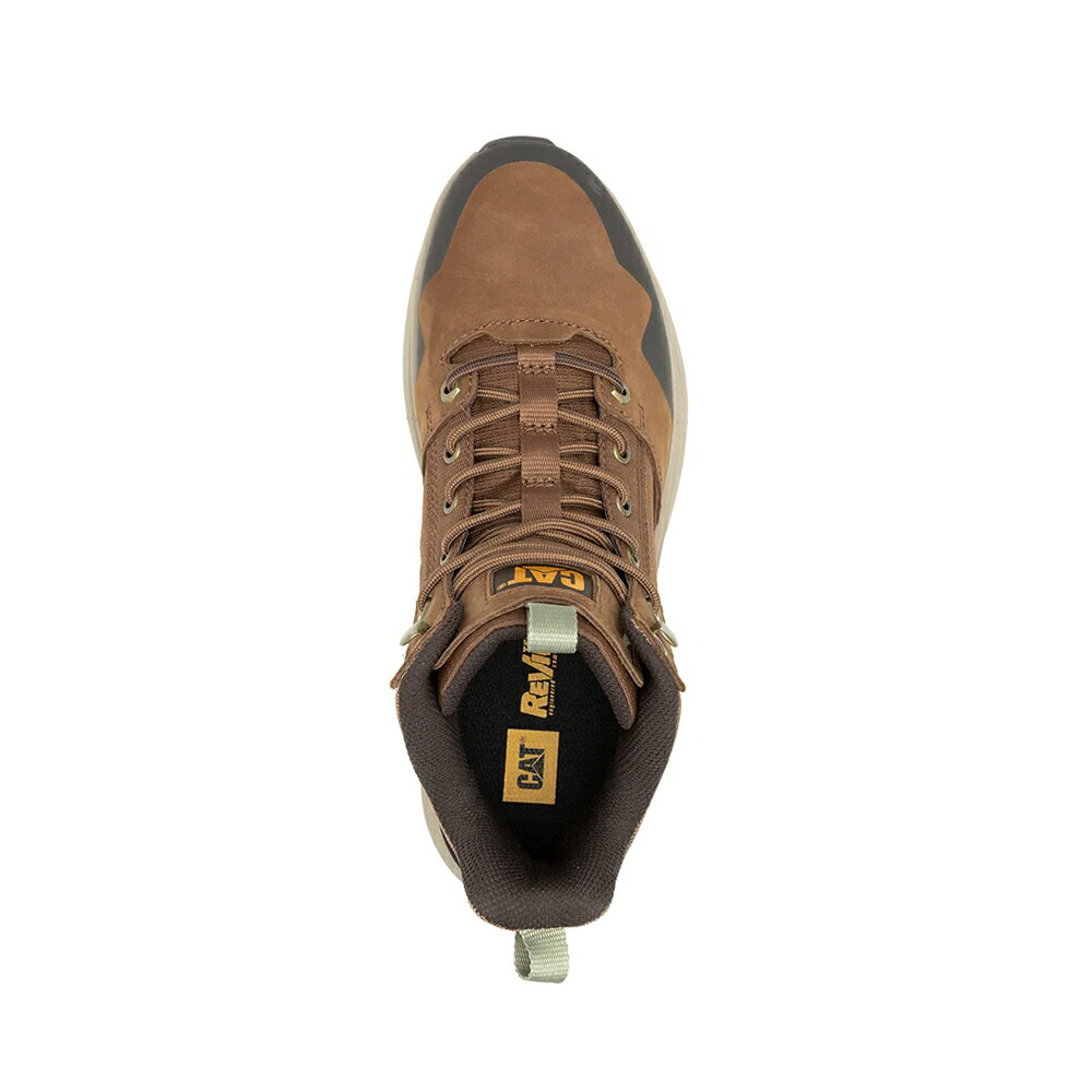 CAT COLORADO SNEAKER 經典復刻休閒鞋 男鞋-經典咖 5