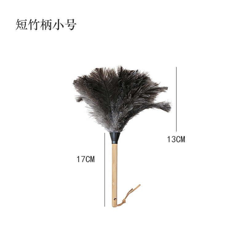 灰塵刷 灰塵撢 除塵撢 雞毛撣子家用不掉毛除塵神器靜電除塵撣子鴕鳥毛禪子掃灰『ZW2711』