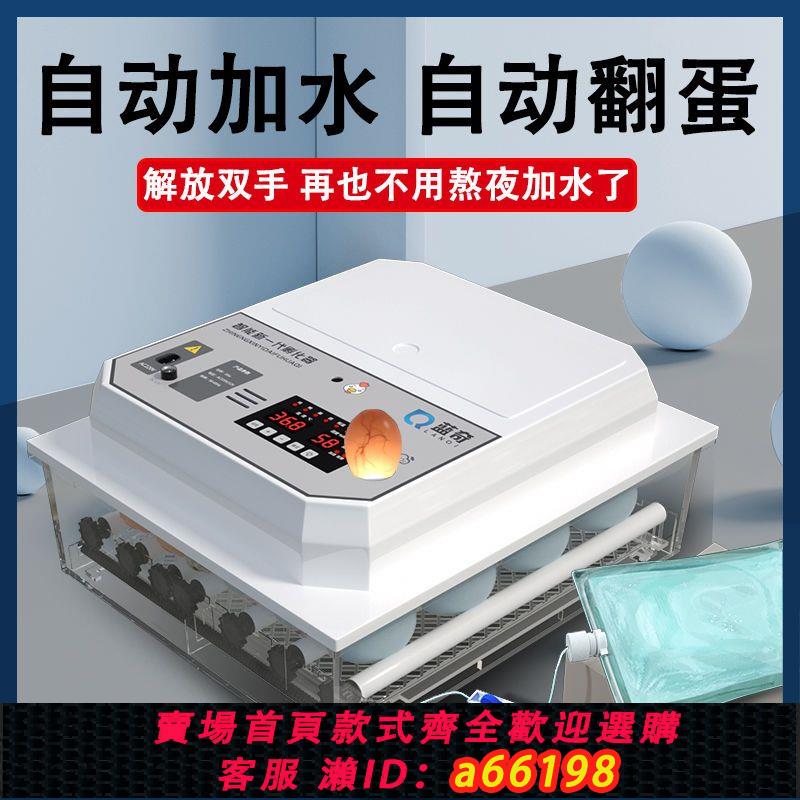 【臺灣公司 可開發票】全自動孵化機家用小型小雞孵化器鴨鵝鴿子鵪鶉孵蛋器孵小雞的機器