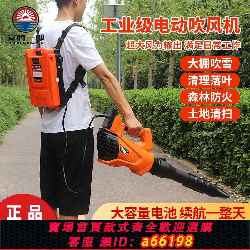 【臺灣公司 可開發票】【強勁風力】大功率電動吹風機吹雪機鋰電除塵器落葉清理園林背負式樹葉吹風機