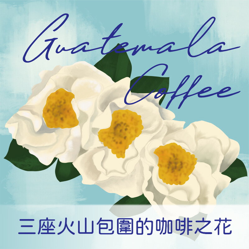 瓜地馬拉  安提瓜產區 屋頂莊園 波旁 水洗【Nikkoffee日光咖啡】
