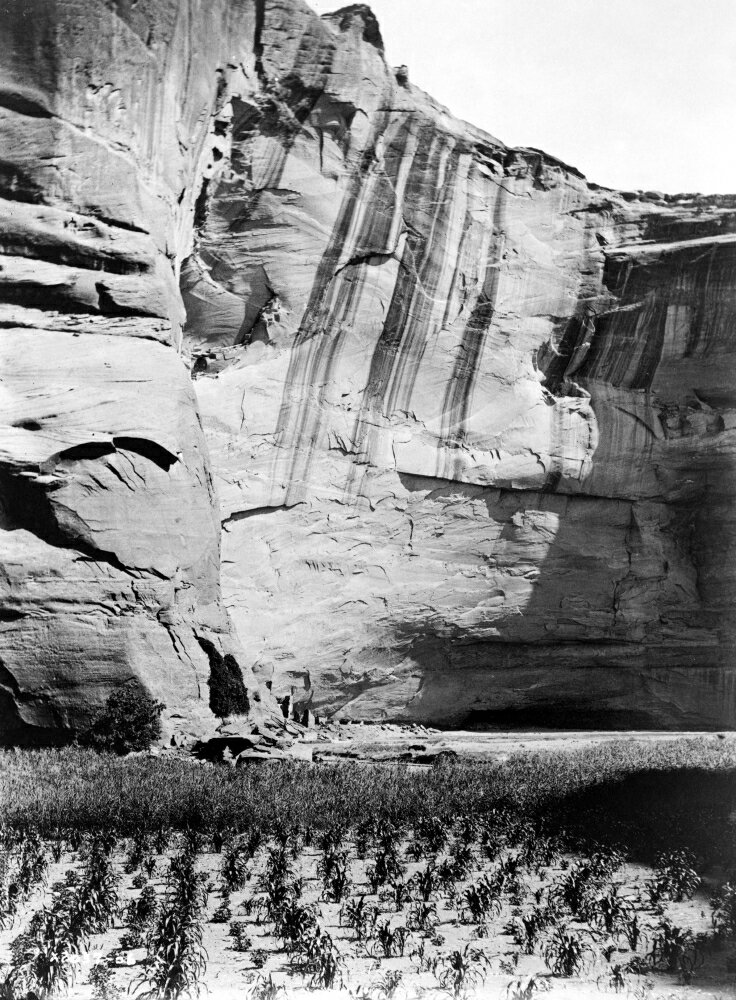 Posterazzi: Navajo Corn Fields C1906 Nnavajo Corn Fields Near Building ...