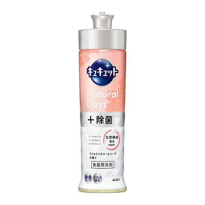 日本 Kao 花王 中性 抑菌 速淨 洗碗精 (花香&草本香) 220ml