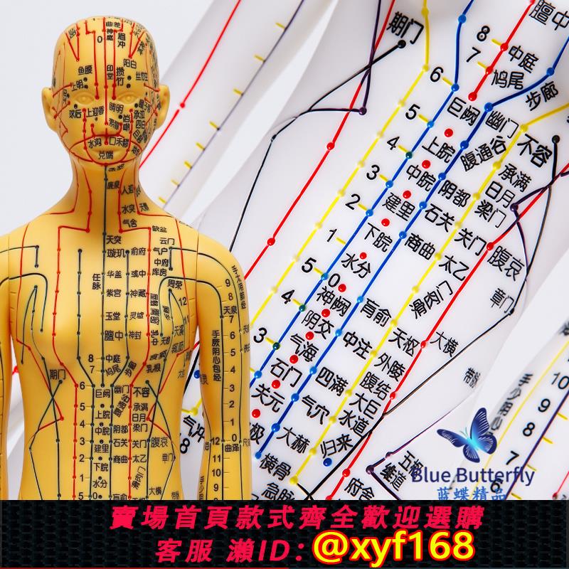 {可打統編 保固一年}針灸人體模型醫用扎針練習小皮人十二經絡穴位圖模特軟膠扎針練習