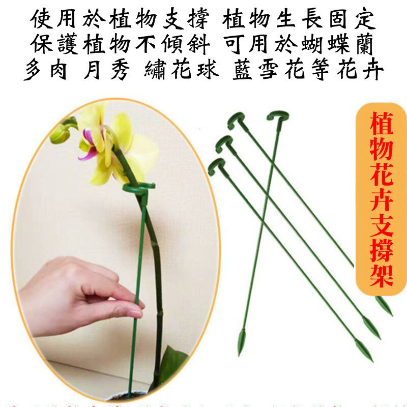 【珍愛頌】N423 花盆支架 花劍支架 蘭花支架 花卉造型 蝴蝶蘭支架 多肉花架 攀爬支柱 支撐桿 爬藤架 防倒 護葉 2