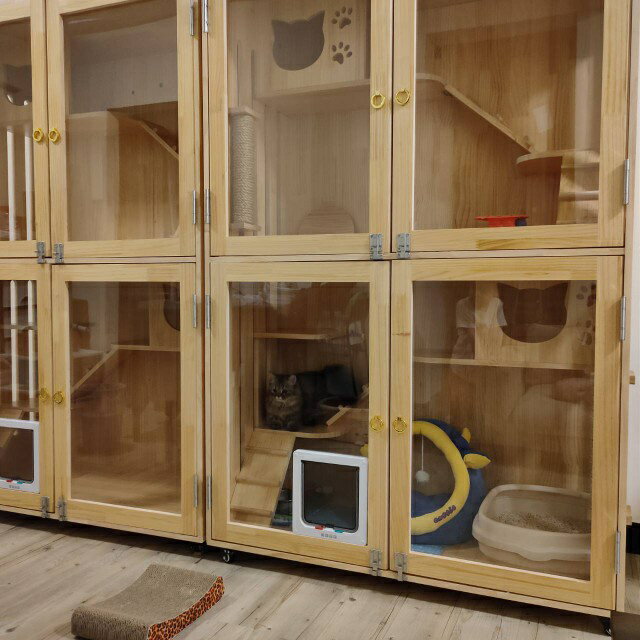 【台灣現貨】豪華貓別墅 家用二層雙層超大貓房子 防水實木貓籠 大貓籠子 實木貓櫃子 貓屋貓窩貓櫃 貓舍貓公寓 4