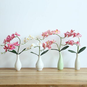 仿真蝴蝶蘭單支帶葉PU手感新中式仿真花家居裝飾蕓雅假花花瓶插花