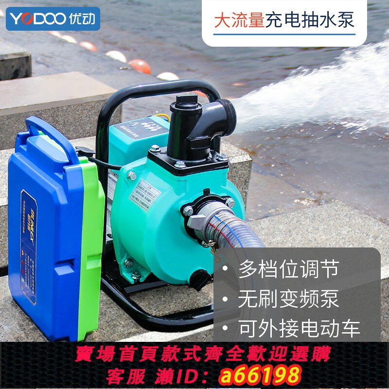 【台灣公司 可開發票】便攜鋰電戶外電動抽水泵農用澆水灌溉48-72V電動車通用家用充電式