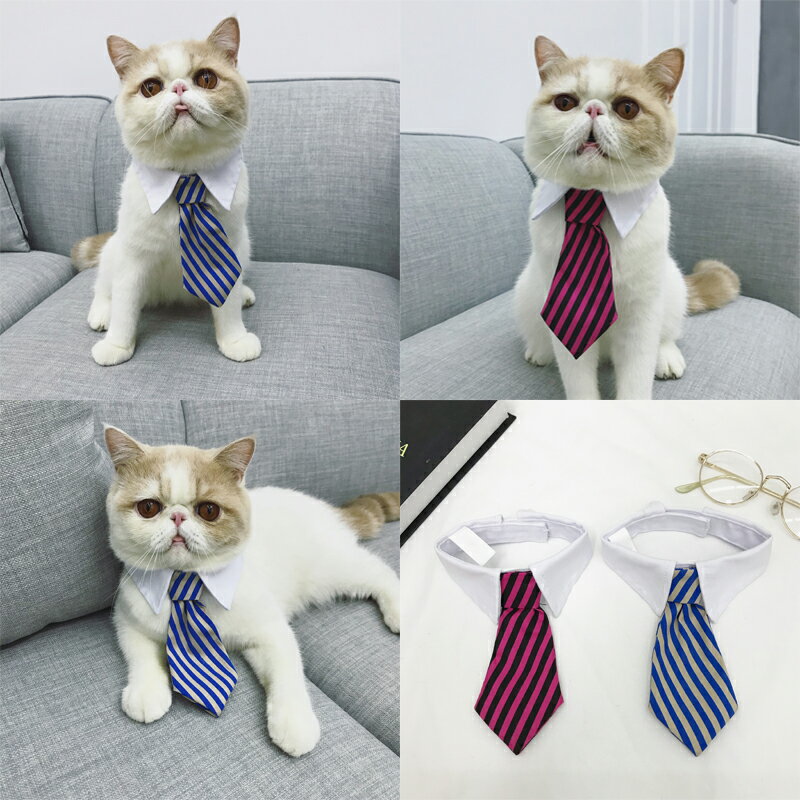 貓咪蝴蝶結領結貓狗飾品 英短項圈頸圈英倫紳士領帶裝飾寵物用品