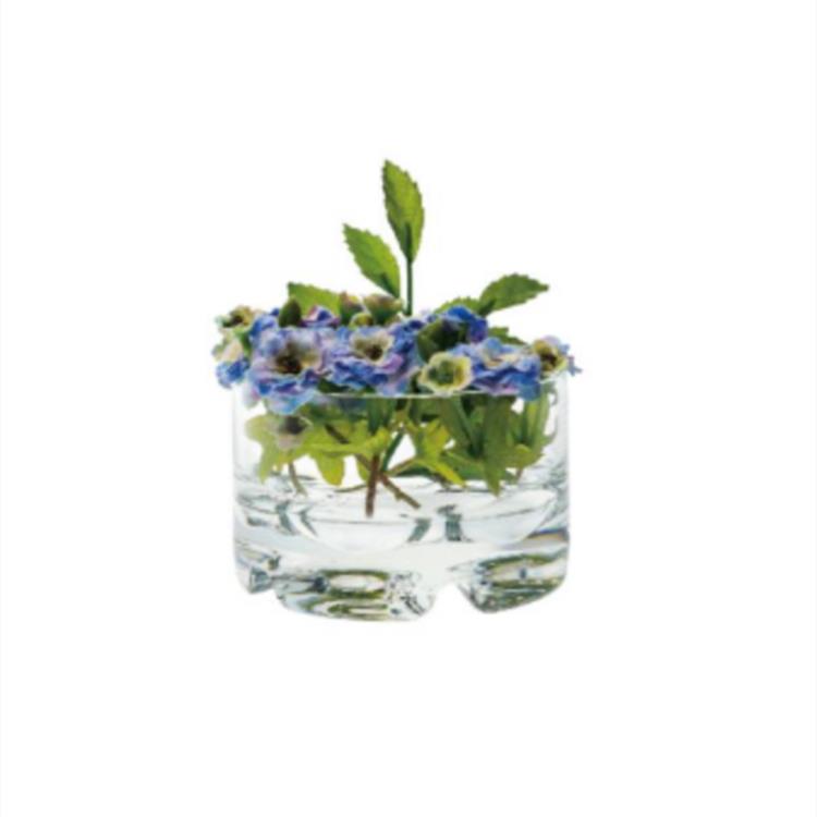 嘉寶簡約臺面PC塑料透明水培花盆創意圓形矮花瓶家居水養植物花器