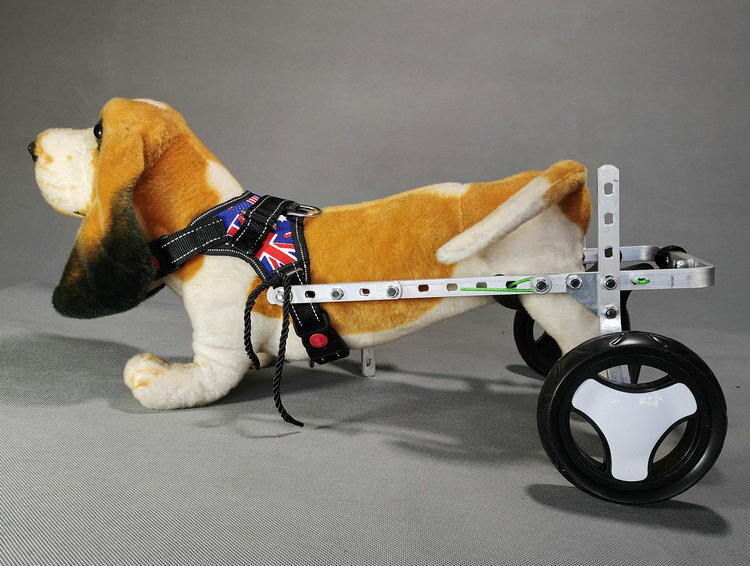 【超多款式咨詢客服】殘疾小型狗輪椅老年狗受傷癱瘓康復貓狗兔后肢代步車狗后肢助力車 2