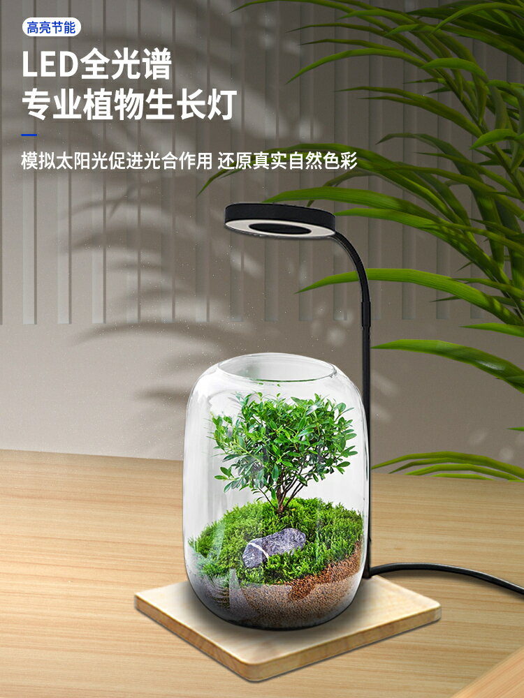 LED植物生長燈微景觀燈竹板燈木板燈魚缸燈苔蘚燈多肉植物補光燈