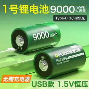 1號充電電池USB快速充電一號D型燃氣熱水器煤氣灶1.5V鋰電