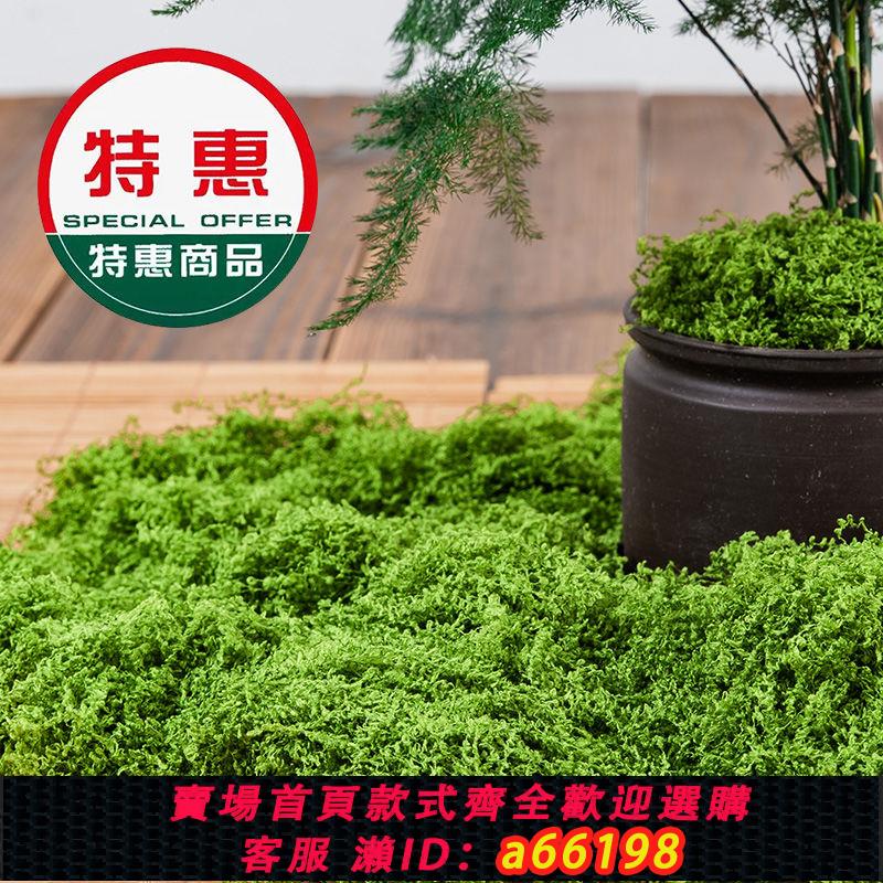 【臺灣公司 可開發票】模擬青苔草皮仿生人造假苔蘚微景觀佈置擺件草坪盆景盆栽裝飾造景