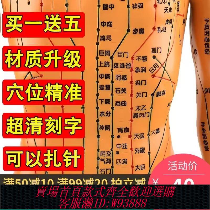 穴位模型 【30天熱銷1025件】全身穴位圖彩圖版針灸穴位小人中醫按摩立體穴位模型人醫用初學者