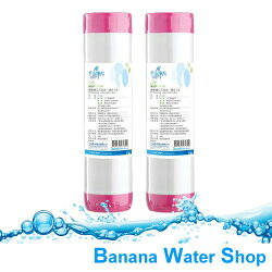【Banana Water Shop】千山淨水 CT-G6 精密進口三效合一濾芯(2入裝) ★免運費