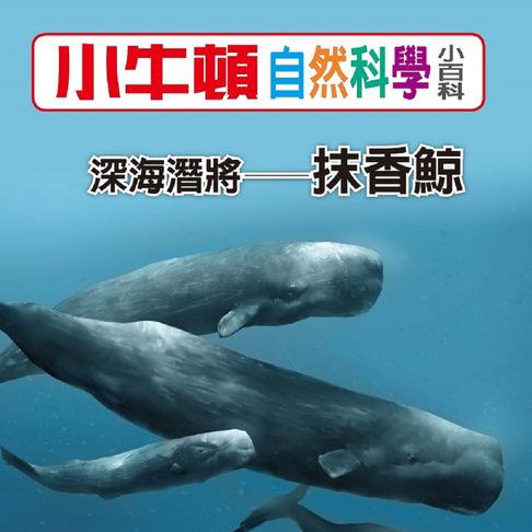 【有聲書】小牛頓自然科學小百科：深海潛將--抹香鯨 0