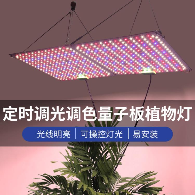 led量子板植物燈全光譜可調光定時多肉補光上色燈