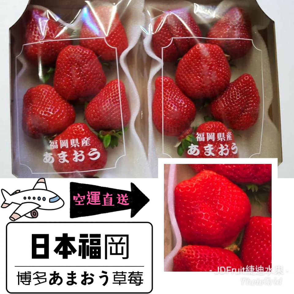 【緁迪水果JDFruit】日本博多福岡草莓  14~22粒 /箱(600g+-10%/箱)💓~ 草莓中的甜王款-送禮首選-季節限定