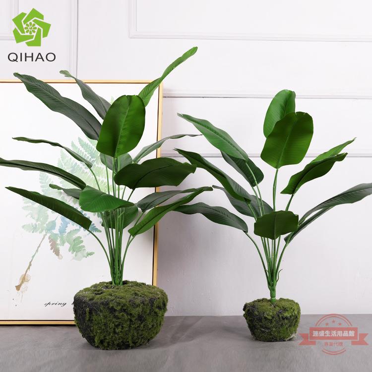 北歐模擬綠植香蕉葉芭蕉葉室內造景裝飾美人蕉葉子把束假植物擺件