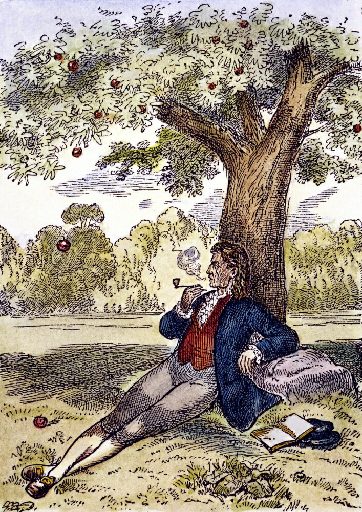 Posterazzi: Isaac Newton And The Apple Nenglish Physicist And ...