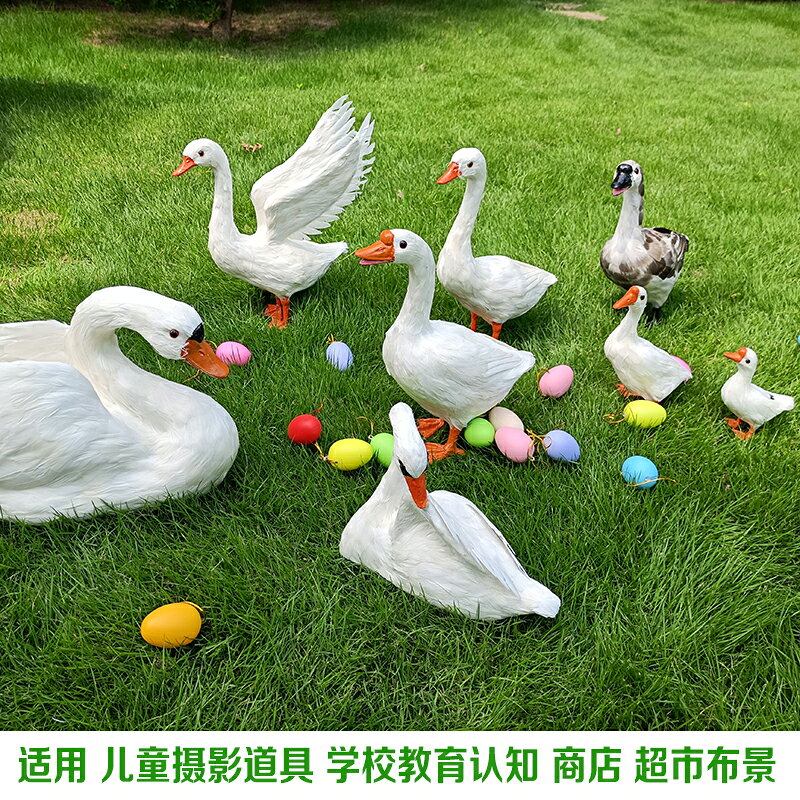 仿真鵝模型動物標本大白鵝室內園林裝飾品鵝擺件攝影拍照道具鴨子 2