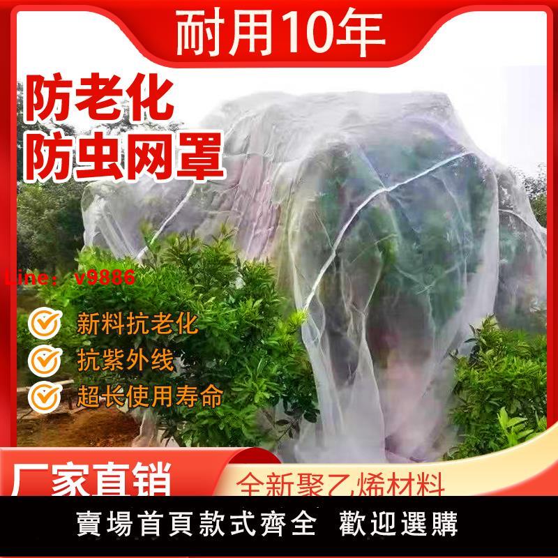 【臺灣公司 可開發票】果樹防蟲網罩防蟲網紗網防鳥網罩蔬菜大棚種菜專用密眼果園保護網